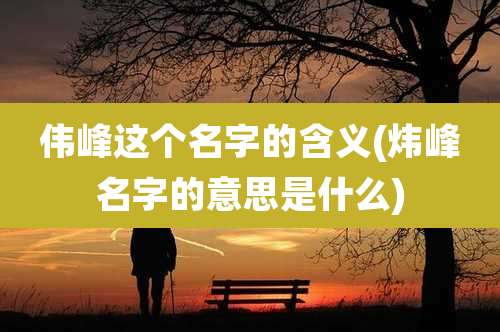 伟峰这个名字的含义(炜峰名字的意思是什么)