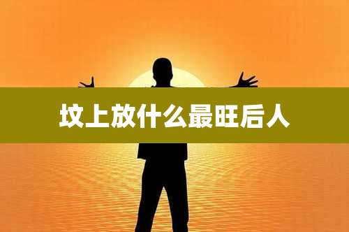 坟上放什么最旺后人