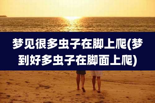 梦见很多虫子在脚上爬(梦到好多虫子在脚面上爬)