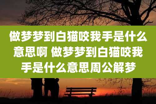 做梦梦到白猫咬我手是什么意思啊 做梦梦到白猫咬我手是什么意思周公解梦