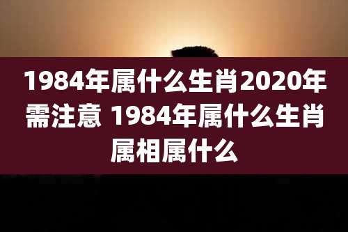 1984年属什么生肖2020年需注意 1984年属什么生肖属相属什么