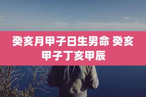 癸亥月甲子日生男命 癸亥甲子丁亥甲辰