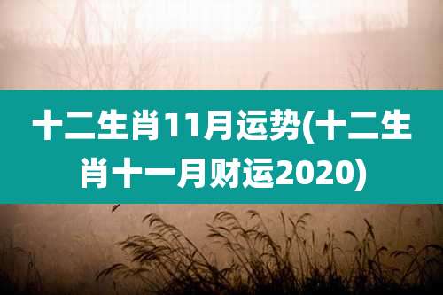 十二生肖11月运势(十二生肖十一月财运2020)