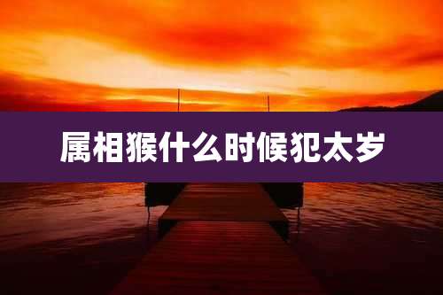 属相猴什么时候犯太岁