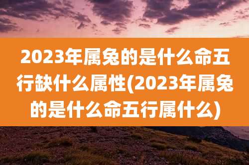 2023年属兔的是什么命五行缺什么属性(2023年属兔的是什么命五行属什么)