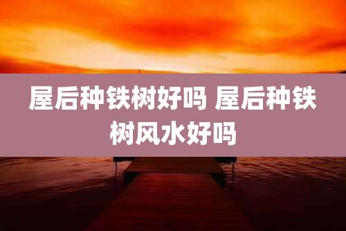 屋后种铁树好吗 屋后种铁树风水好吗