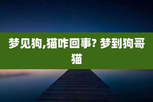 梦见狗,猫咋回事? 梦到狗哥猫