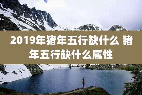 2019年猪年五行缺什么 猪年五行缺什么属性