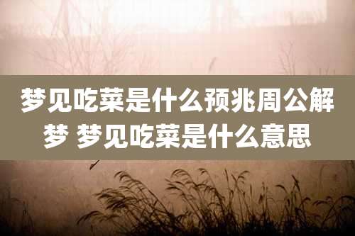 梦见吃菜是什么预兆周公解梦 梦见吃菜是什么意思