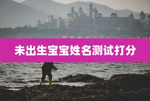 未出生宝宝姓名测试打分