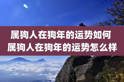 属狗人在狗年的运势如何 属狗人在狗年的运势怎么样