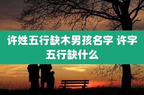 许姓五行缺木男孩名字 许字五行缺什么