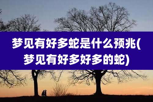 梦见有好多蛇是什么预兆(梦见有好多好多的蛇)
