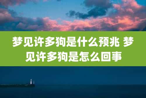 梦见许多狗是什么预兆 梦见许多狗是怎么回事