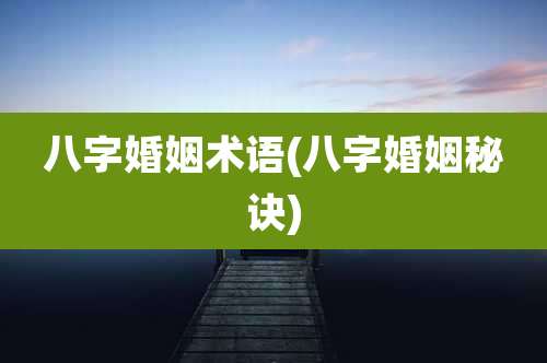 八字婚姻术语(八字婚姻秘诀)