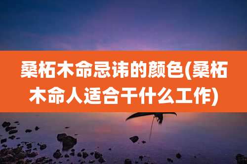 桑柘木命忌讳的颜色(桑柘木命人适合干什么工作)