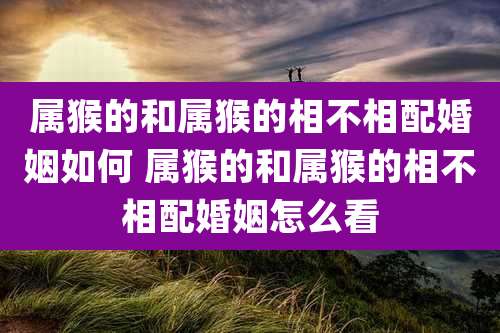 属猴的和属猴的相不相配婚姻如何 属猴的和属猴的相不相配婚姻怎么看