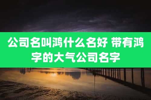 公司名叫鸿什么名好 带有鸿字的大气公司名字