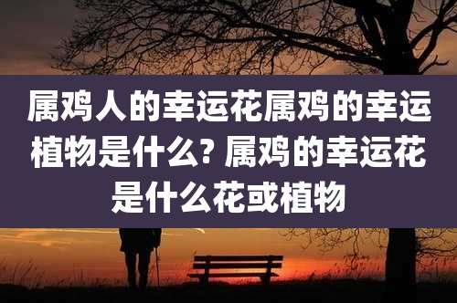 属鸡人的幸运花属鸡的幸运植物是什么? 属鸡的幸运花是什么花或植物