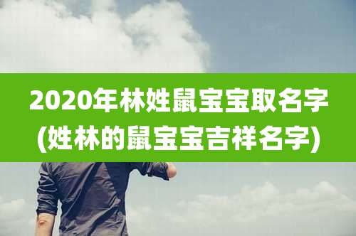 2020年林姓鼠宝宝取名字(姓林的鼠宝宝吉祥名字)
