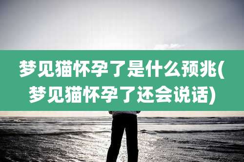 梦见猫怀孕了是什么预兆(梦见猫怀孕了还会说话)