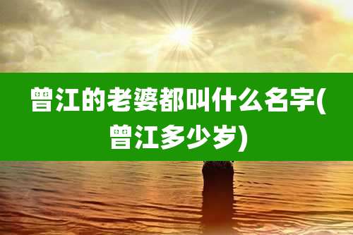 曾江的老婆都叫什么名字(曾江多少岁)