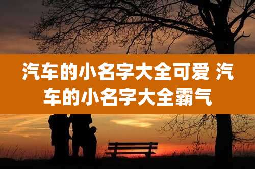 汽车的小名字大全可爱 汽车的小名字大全霸气