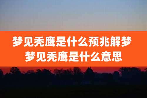 梦见秃鹰是什么预兆解梦 梦见秃鹰是什么意思