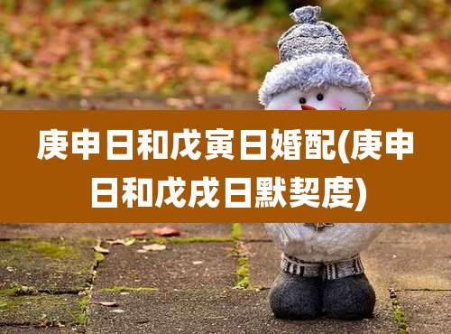 庚申日和戊寅日婚配(庚申日和戊戌日默契度)