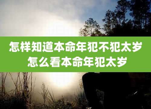 怎样知道本命年犯不犯太岁 怎么看本命年犯太岁
