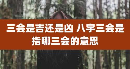 三会是吉还是凶 八字三会是指哪三会的意思
