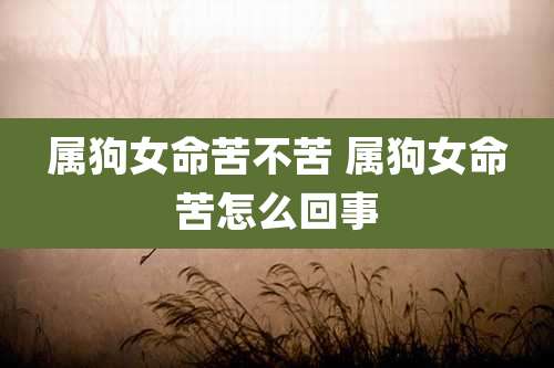 属狗女命苦不苦 属狗女命苦怎么回事