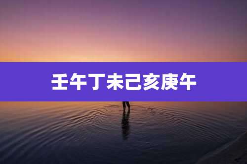 壬午丁未己亥庚午