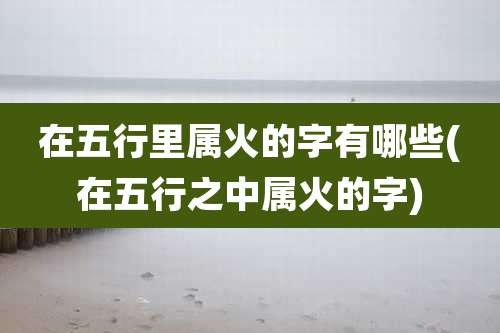 在五行里属火的字有哪些(在五行之中属火的字)