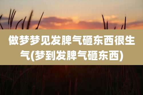 做梦梦见发脾气砸东西很生气(梦到发脾气砸东西)