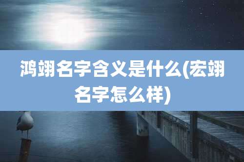 鸿翊名字含义是什么(宏翊名字怎么样)