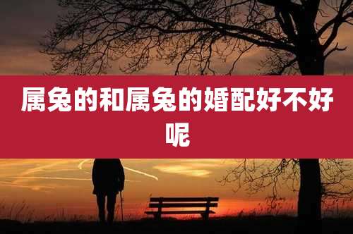 属兔的和属兔的婚配好不好呢