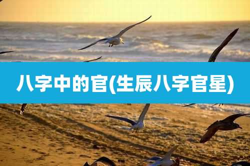 八字中的官(生辰八字官星)