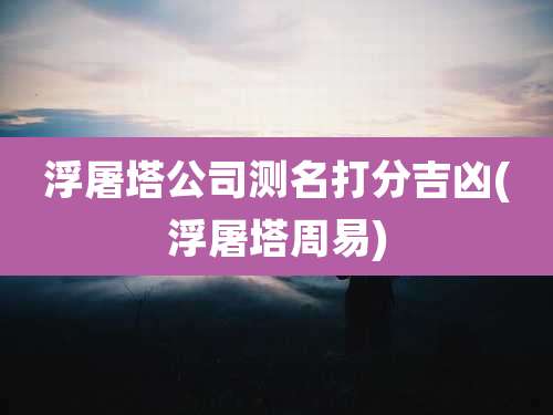 浮屠塔公司测名打分吉凶(浮屠塔周易)