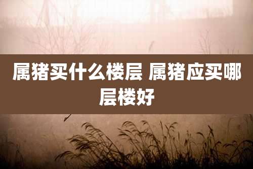 属猪买什么楼层 属猪应买哪层楼好