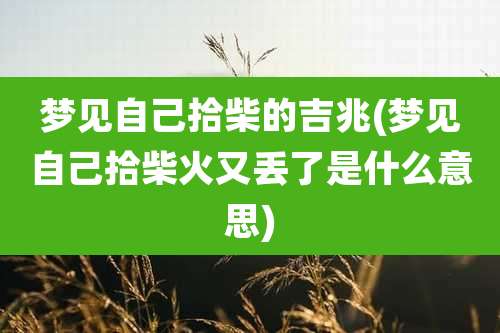 梦见自己拾柴的吉兆(梦见自己拾柴火又丢了是什么意思)