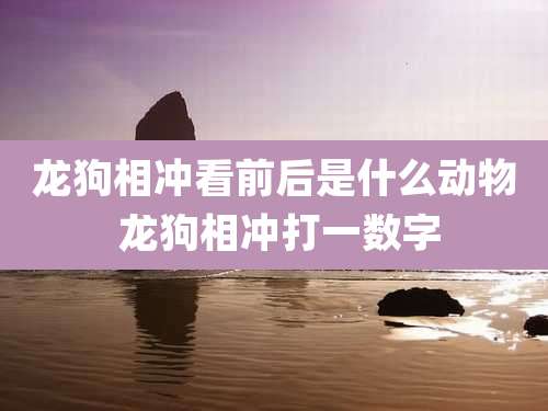 龙狗相冲看前后是什么动物 龙狗相冲打一数字