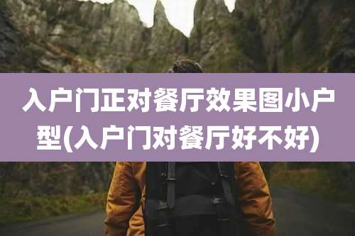 入户门正对餐厅效果图小户型(入户门对餐厅好不好)