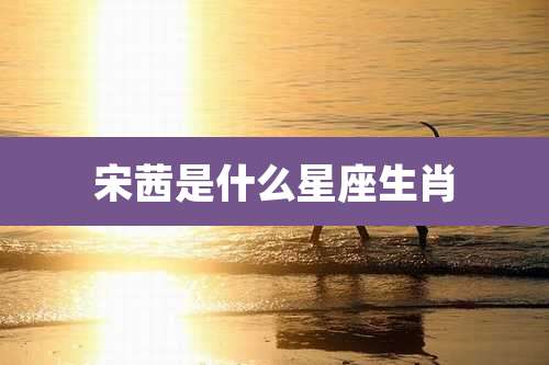 宋茜是什么星座生肖