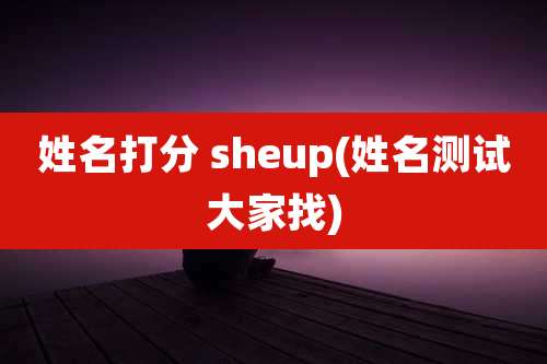 姓名打分 sheup(姓名测试大家找)