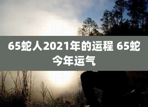 65蛇人2021年的运程 65蛇今年运气
