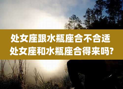 处女座跟水瓶座合不合适 处女座和水瓶座合得来吗?