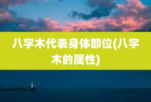 八字木代表身体部位(八字木的属性)