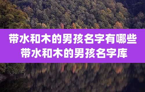 带水和木的男孩名字有哪些 带水和木的男孩名字库