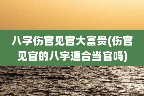 八字伤官见官大富贵(伤官见官的八字适合当官吗)